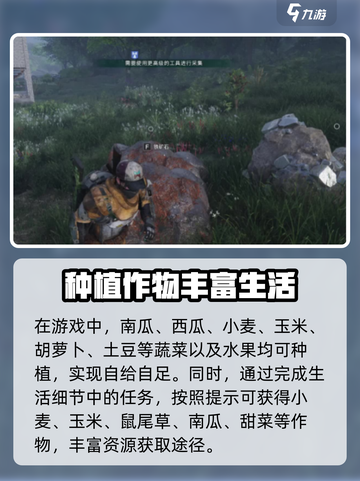 七日世界手游哪有甜菜介绍截图4