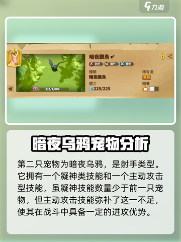 万龙觉醒💥克岚西宠物最强搭配🔥宠物选择不再迷茫！截图4