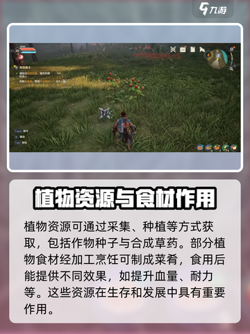 荒野起源物品图鉴介绍截图3