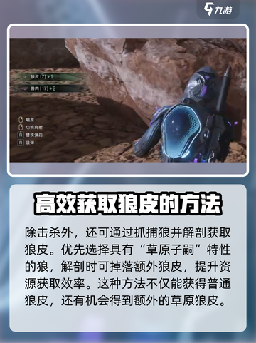 七日世界丛林狼皮怎么获得介绍截图4