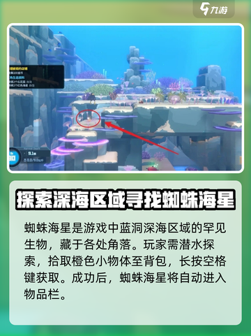 潜水员戴夫蜘蛛海星在哪介绍截图2