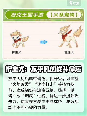 洛克王国手游护主犬介绍介绍截图2