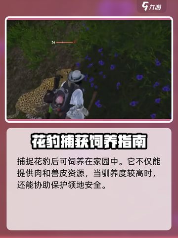 七日世界豹子在哪介绍截图5