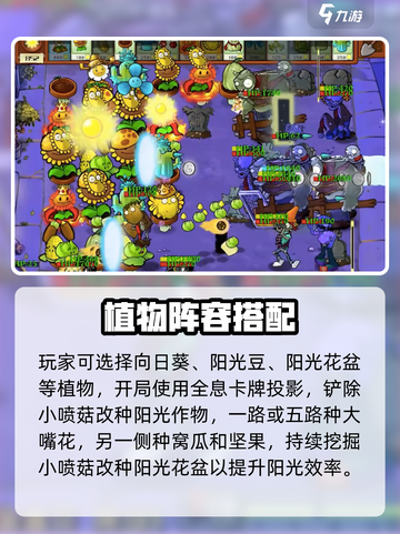《植物大战僵尸》金盏花王通关秘籍💥截图4