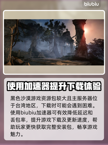 黑色沙漠🔥加速器推荐，下载必备🎉截图2