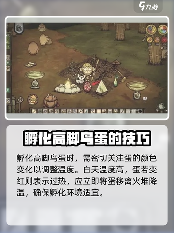饥荒联机版高脚鸟蛋怎么孵化介绍截图3