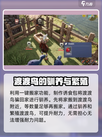 荒野起源耐力如何提升介绍截图4