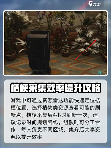 七日世界🔥桔梗采集地大曝光！速来获取⚡截图4