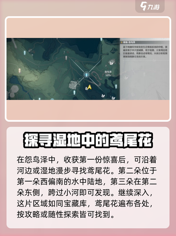 鸣潮鸢尾花具体位置在哪里介绍截图3