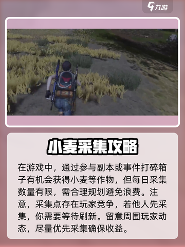 七日世界手游🔥小麦获取全攻略✨截图5