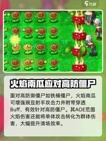 植物大战僵尸🔥火焰南瓜震撼登场！🔥截图3