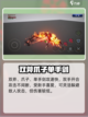 龙之宝藏武器有什么介绍截图4