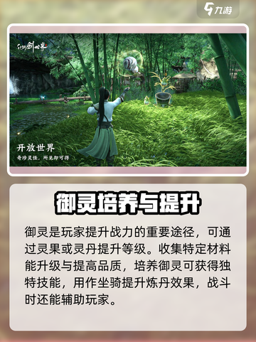 仙剑世界御灵是什么介绍截图4