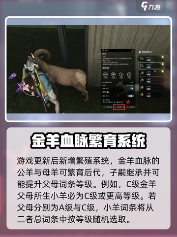 七日世界🔥金羊毛获取秘籍💡玩家必看！截图4