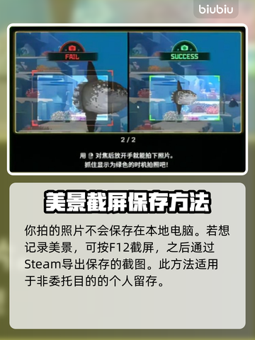 潜水员戴夫拍照攻略🔥游戏党必看！📸截图3