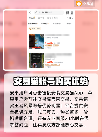 王者风暴账号交易🔥安全吗？玩家必看⚠截图2