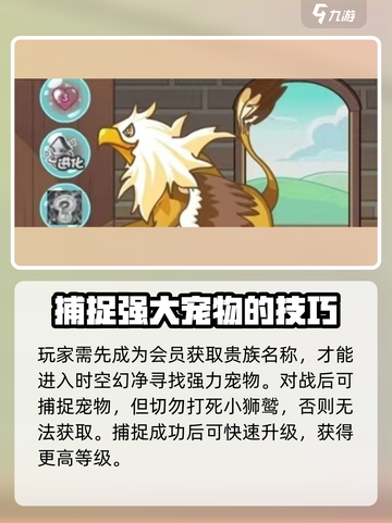 洛克王国💥狮鹫宠物超强解析🔥手游必备神宠！截图3