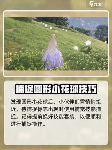无限暖暖花球娘怎么抓介绍截图3