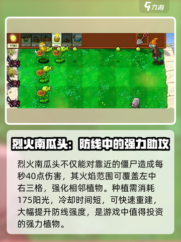 植物大战僵尸：火焰南瓜🔥杂交版来袭，超强防御等你解锁！截图3