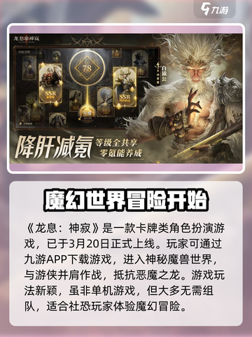 龙息神寂单机版下载链接🔥免费分享🎮截图2