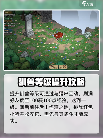 大侠立志传哪个宠物好介绍截图3