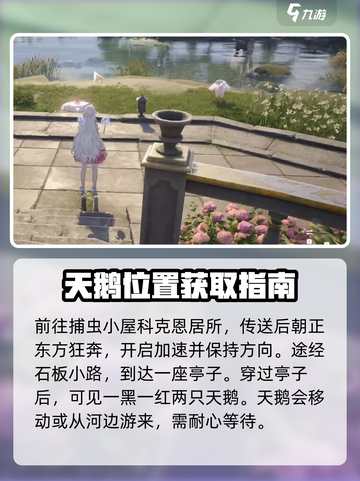 无限暖暖🔥夜色天鹅绒获取方式大揭秘！截图3