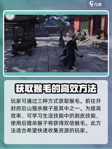 燕云十六声猴毛是什么介绍截图2