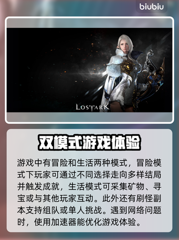 失落的方舟加速器推荐🚀玩这款游戏必备！截图2