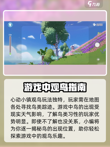 心动小镇观鸟秘籍🌟超全技巧分享！🔗截图2