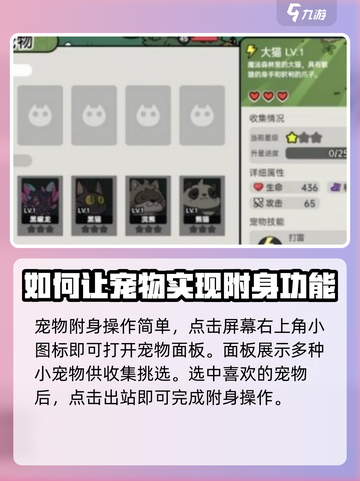 英勇之地🔥宠物附身方法大揭秘！💡截图2