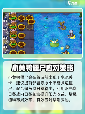 🔥植物大战僵尸：小黄鸭僵尸秒杀秘籍🦆💥截图3