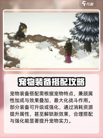 《大侠立志传》宠物装备获取🔥超全攻略来啦！截图4