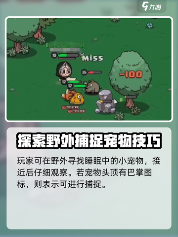 英勇之地怎么抓宠物的介绍截图2