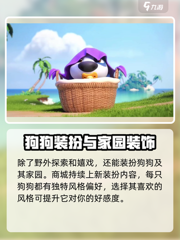 我的汉克狗海岛玩法🔥超全攻略来了！🎉截图4
