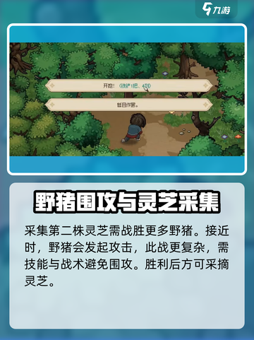 大侠立志传灵芝在哪介绍截图6