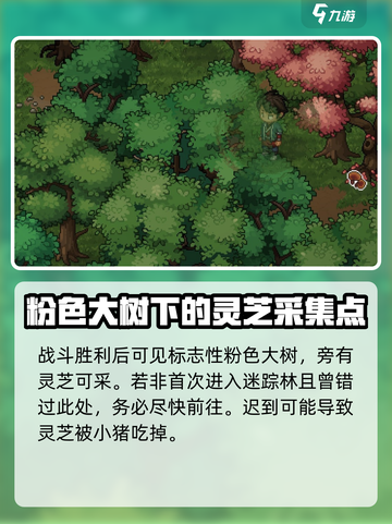 大侠立志传迷踪林灵芝在哪介绍截图3