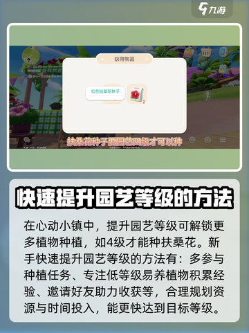 心动小镇🔥扶桑花种植条件大揭秘！🌸截图2