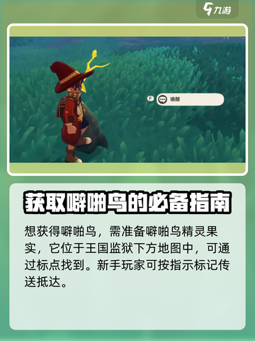 洛克王国世界噼啪鸟获取介绍截图2