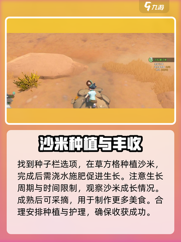 沙石镇时光沙米种子在哪介绍截图4
