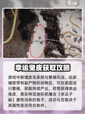 七日世界幸运兔皮怎么获得介绍截图2