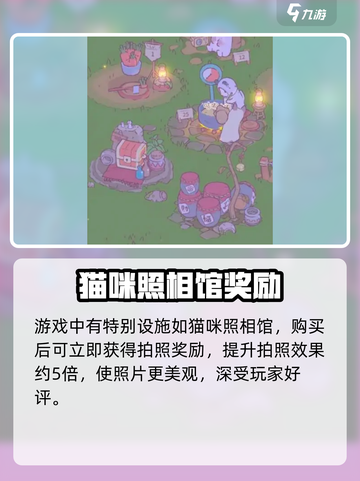 🐾📸猫咪和汤拍照秘籍！轻松拍出萌翻大片💥截图4