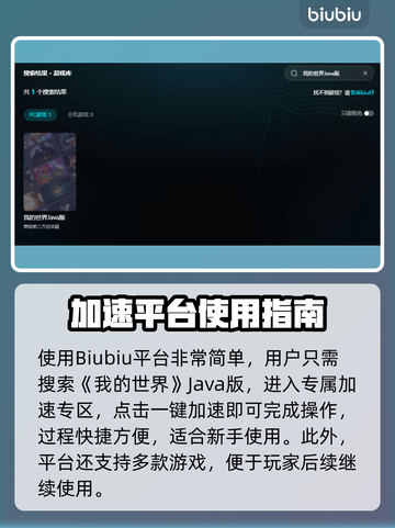 🎮我的世界Java版加速器大揭秘！截图3