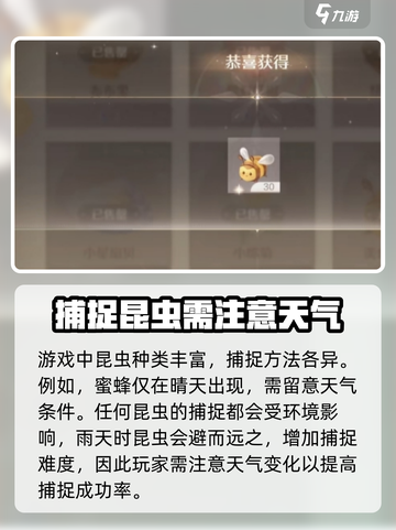 无限暖暖抓布布虫方法是怎样的介绍截图4