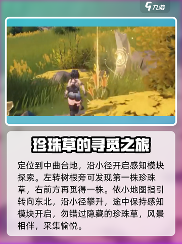 鸣潮🔥珍珠草位置大揭秘！💎速来获取攻略！截图2