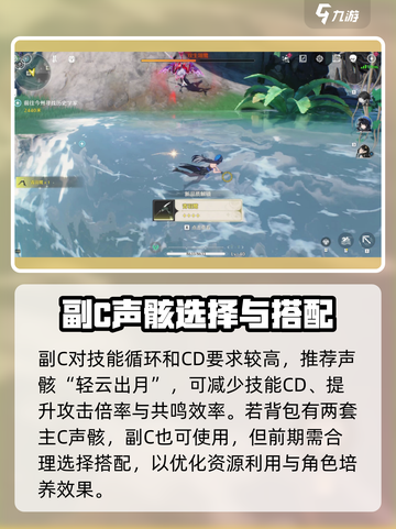 鸣潮🔥星骸排名榜单大揭秘！💥游戏党必看！截图3