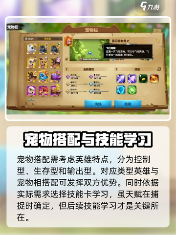 万龙觉醒🔥宠物搭配秘籍，战力飙升不是梦！截图4