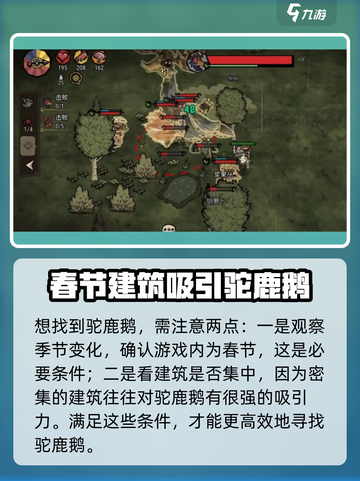 饥荒新家园🔥驼鹿鹅出现条件全揭秘！🎯截图3