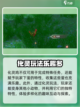 仙剑世界化灵鸡怎么玩介绍截图5