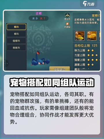 魔力宝贝复兴宠物布阵怎么做介绍截图2