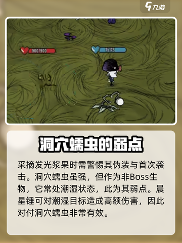 饥荒联机版洞穴蠕虫怎么打介绍截图3